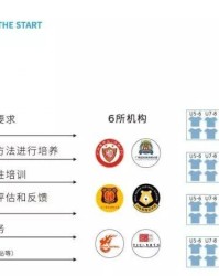  波鸿俱乐部启动青训改革计划，着力培养本土新星